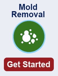 mold remediation in Lakewood CO
